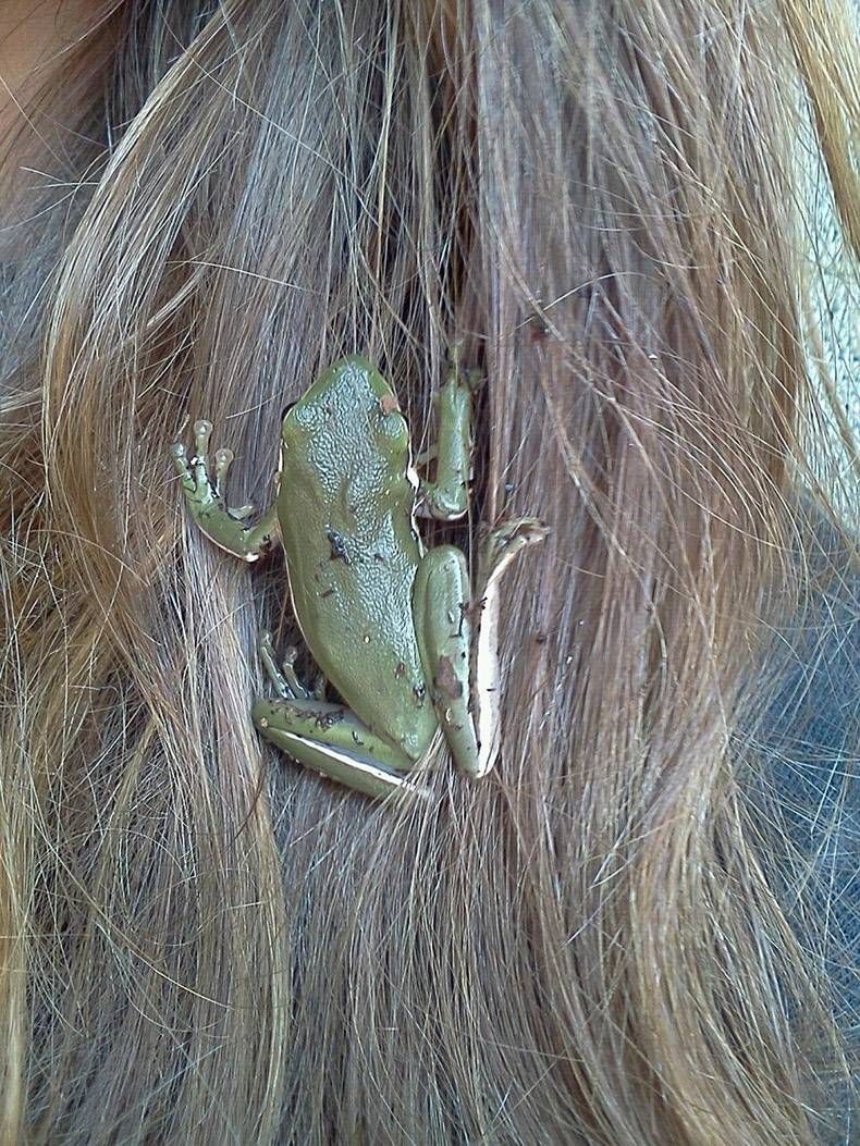 Gewoon een verzameling hilarische foto's #1120