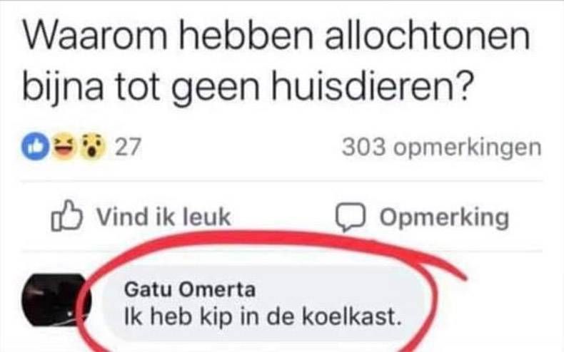 Gewoon een verzameling hilarische foto's #1077