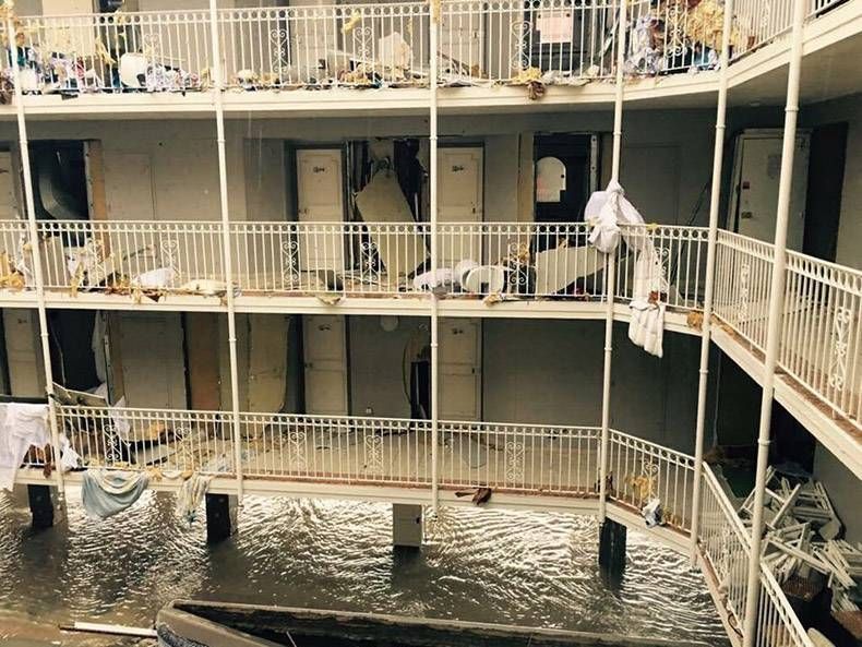 Gewoon een verzameling hilarische foto's #863