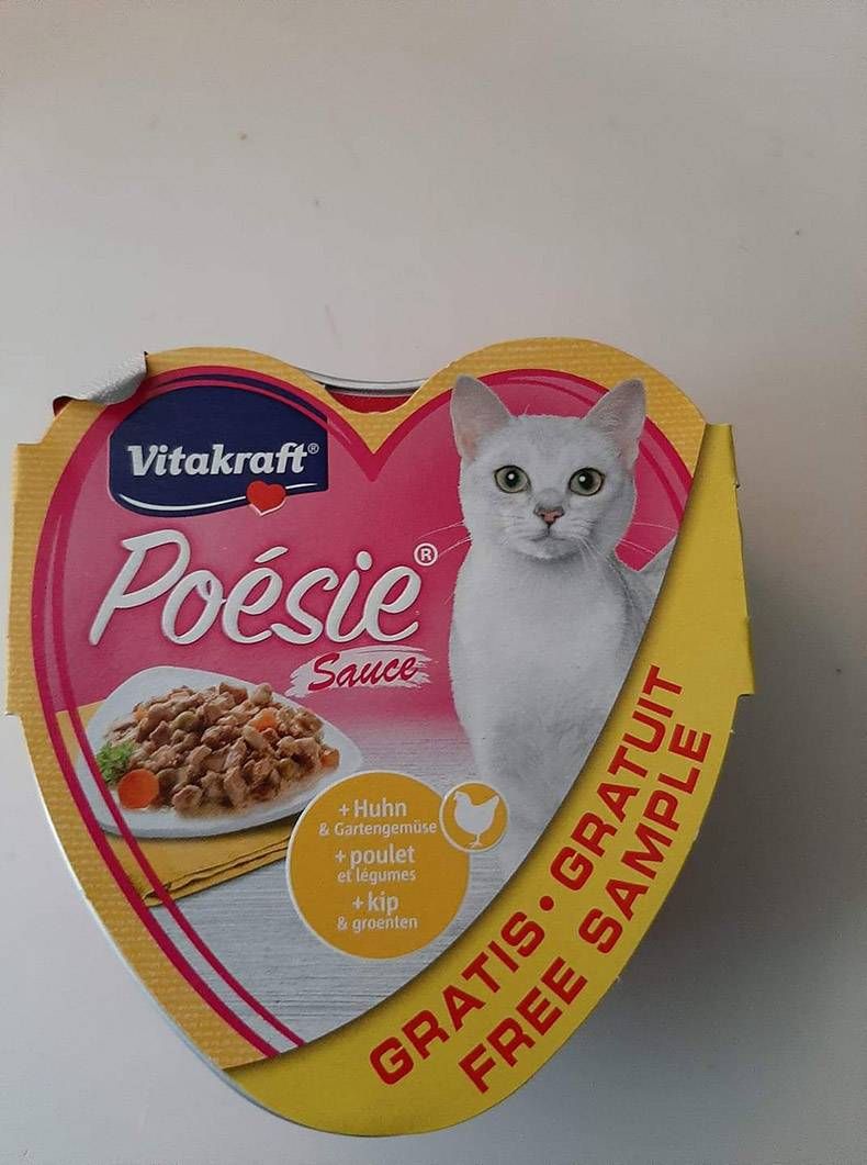 Gewoon een verzameling hilarische foto’s #1284