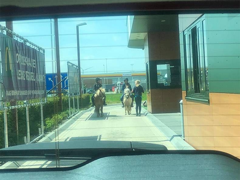 Gewoon een verzameling hilarische foto's #1130