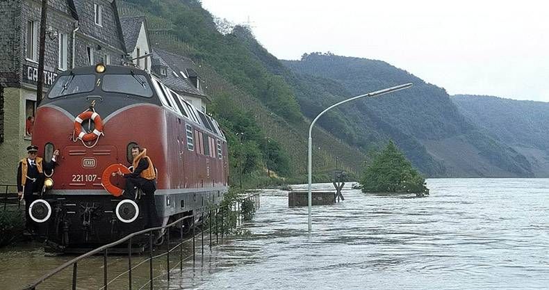 Gewoon een verzameling hilarische foto's #1128