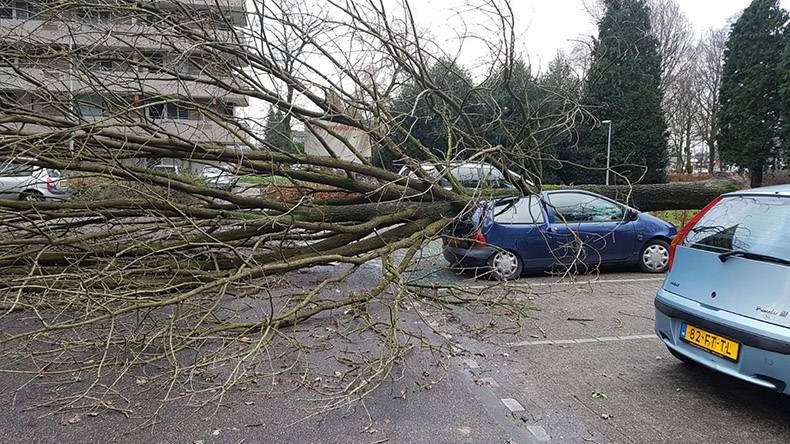 Gewoon een verzameling hilarische foto’s #921