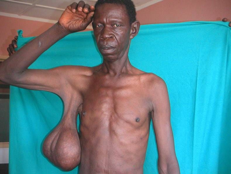 Gewoon een verzameling hilarische foto’s #858