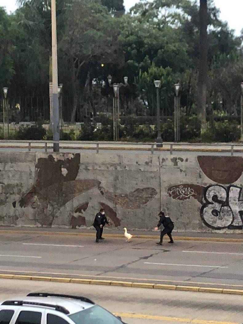 Gewoon een verzameling hilarische foto’s #1326