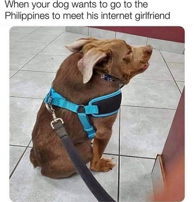 Gewoon een verzameling hilarische foto's #1294