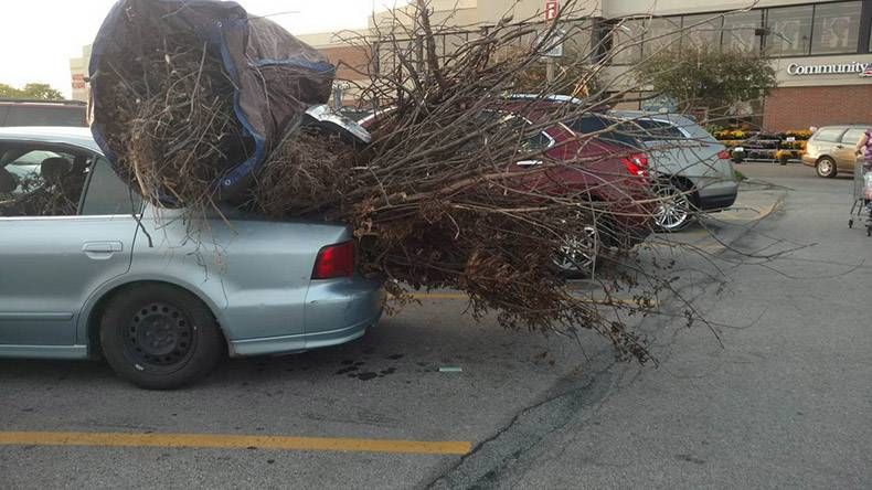 Gewoon een verzameling hilarische foto's #1178