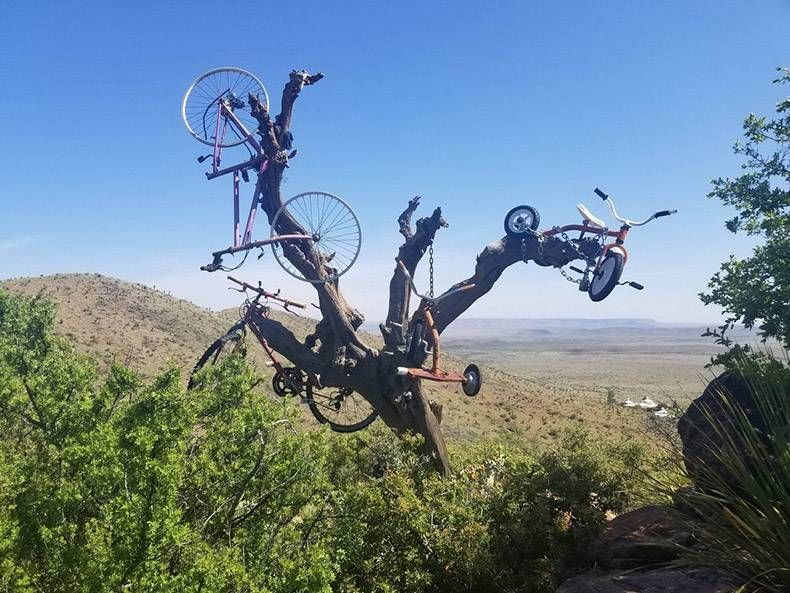 Gewoon een verzameling hilarische foto's #1128