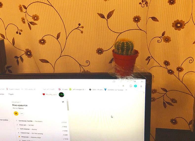 Gewoon een verzameling hilarische foto's #1096