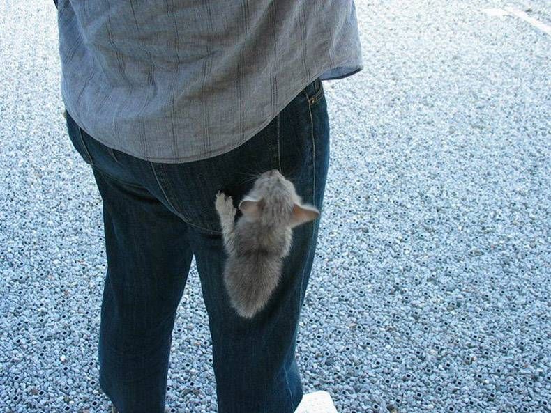 Gewoon een verzameling hilarische foto's #1088