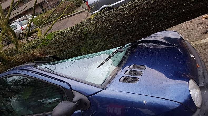 Gewoon een verzameling hilarische foto’s #921