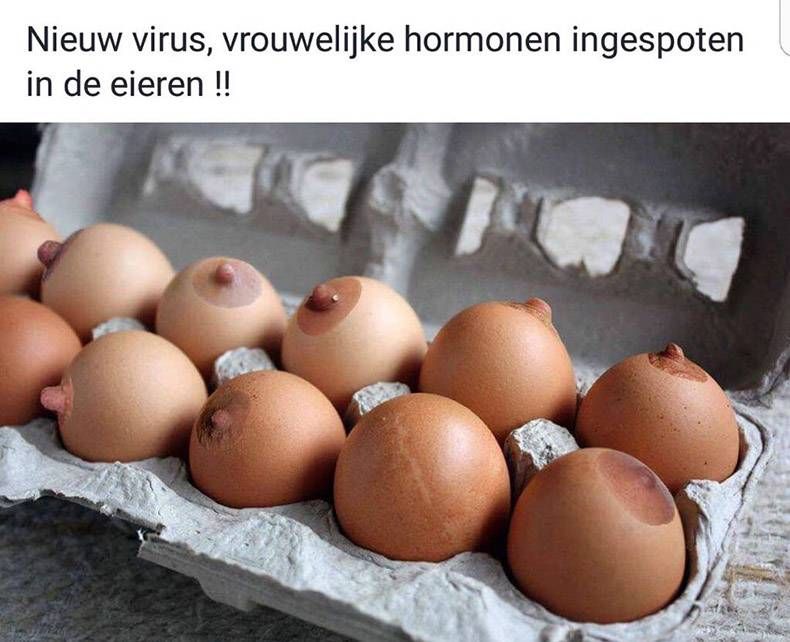 Gewoon een verzameling hilarische foto's #852
