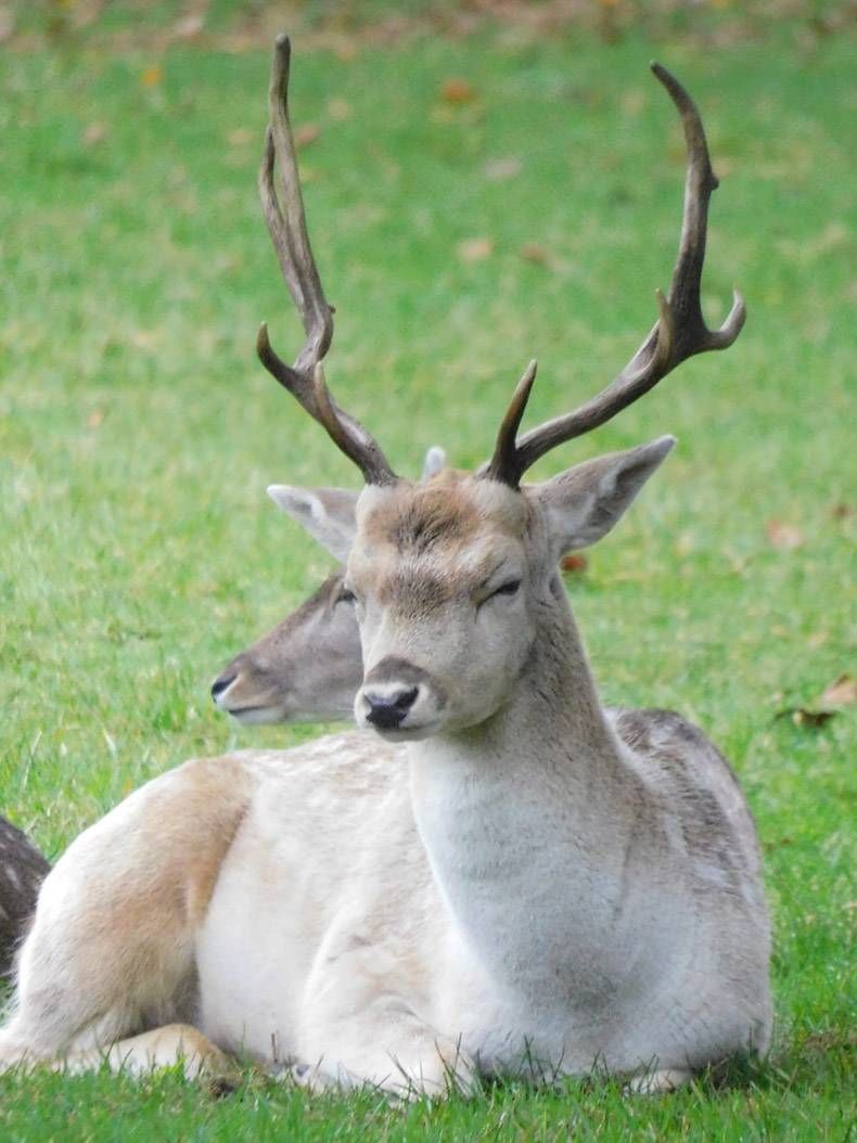 Gewoon een verzameling hilarische foto’s #1364