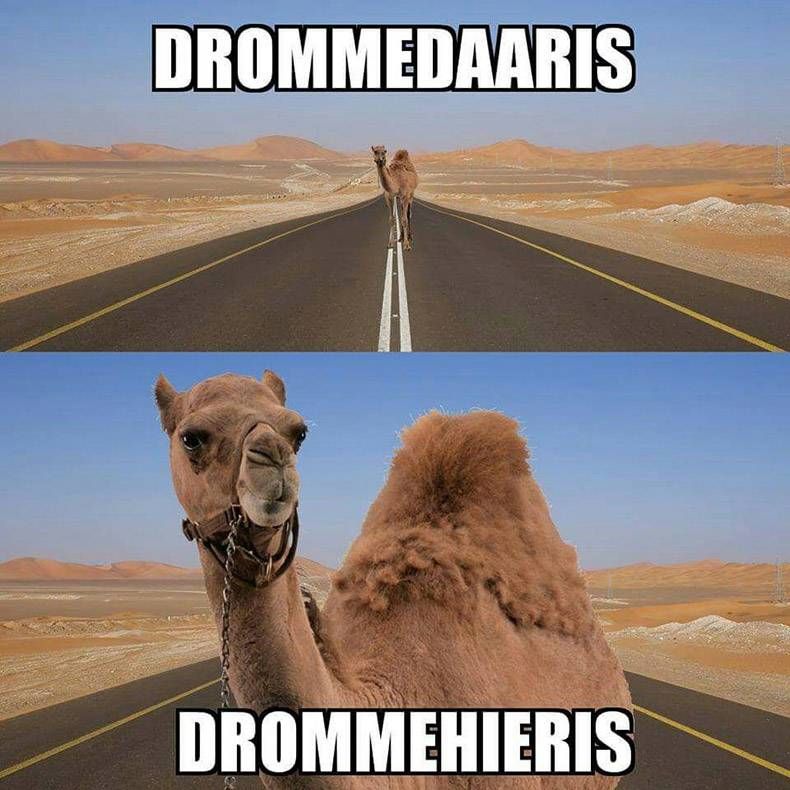 Gewoon een verzameling hilarische foto's #925