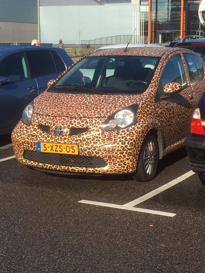 Gewoon een verzameling hilarische foto's #721