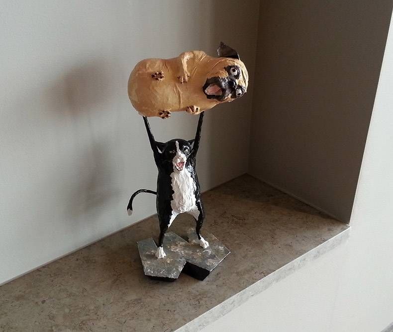 Gewoon een verzameling hilarische foto's #1255