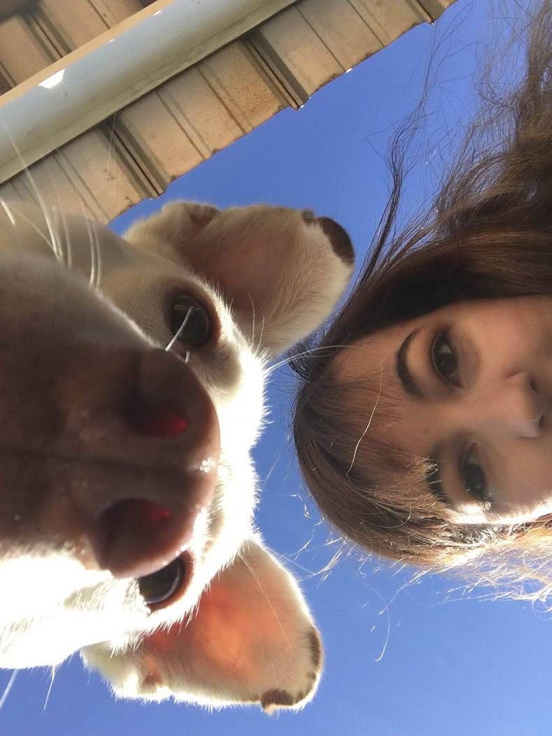 Gewoon een verzameling hilarische foto's #1222