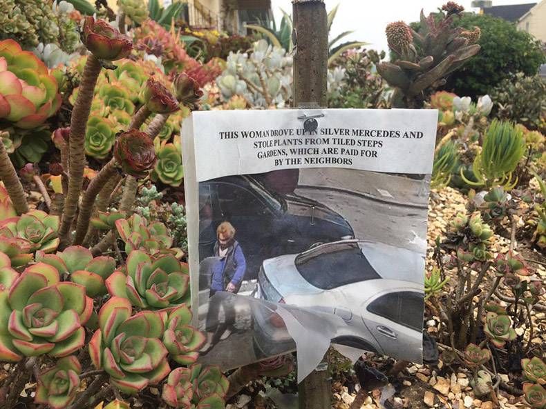 Gewoon een verzameling hilarische foto's #1179