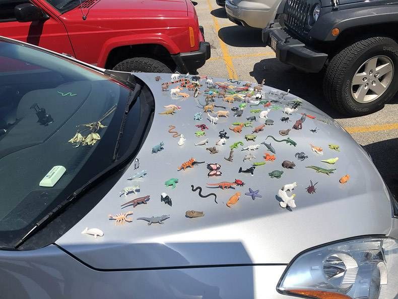 Gewoon een verzameling hilarische foto's #1168