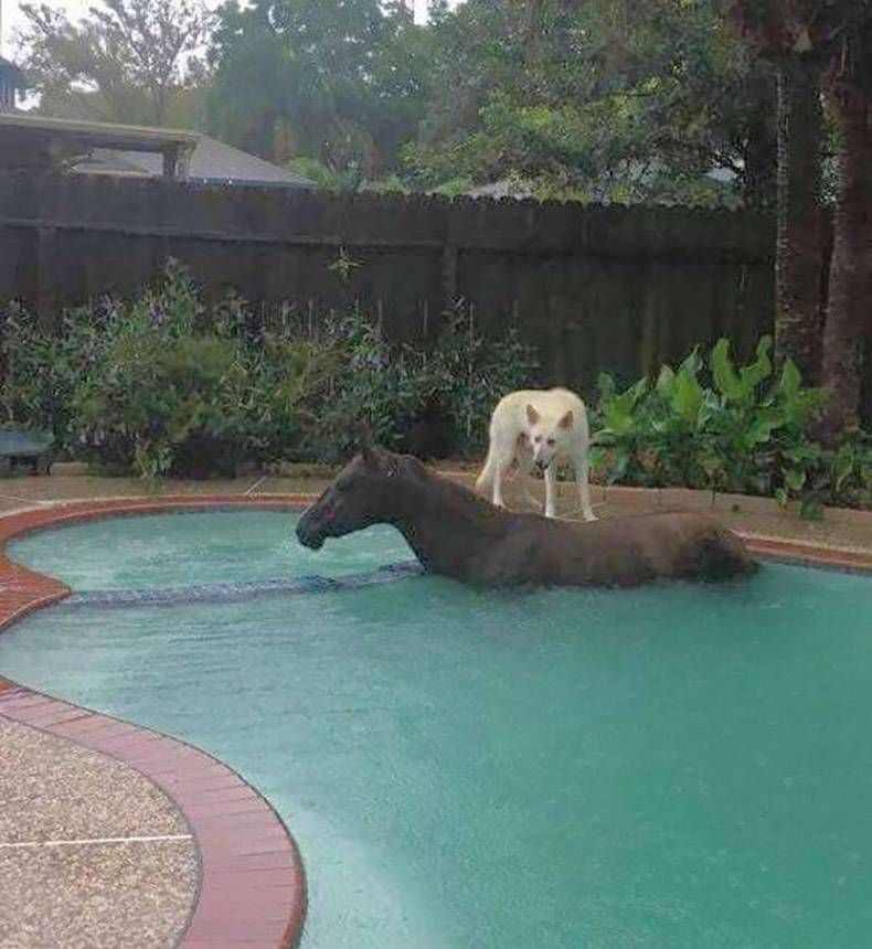 Gewoon een verzameling hilarische foto's #871