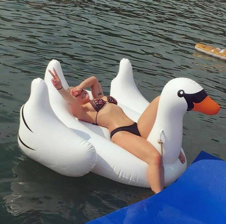 Gewoon een verzameling hilarische foto's #829