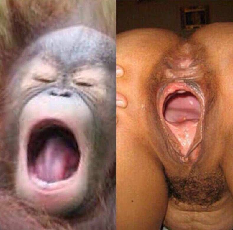 Gewoon een verzameling hilarische foto's #782