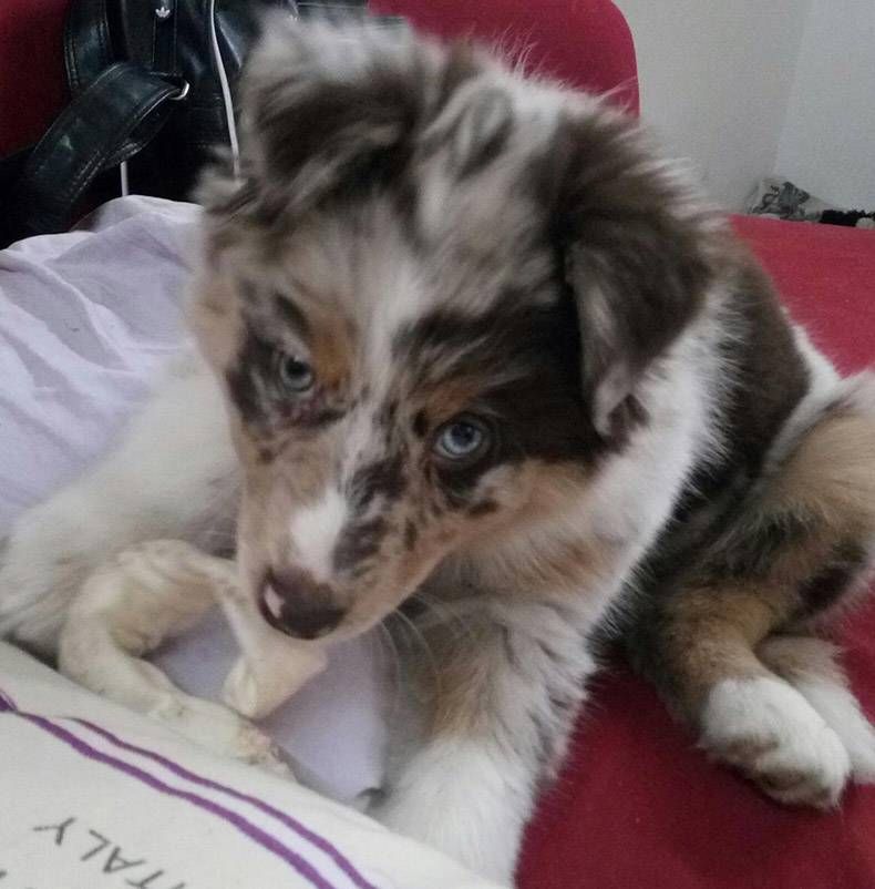 Gewoon een verzameling hilarische foto's #772