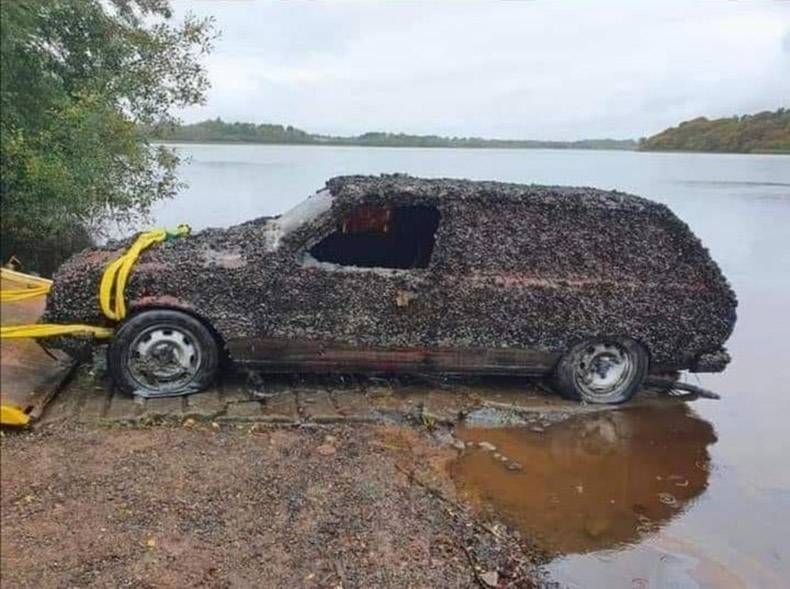 Gewoon een verzameling hilarische foto's #1359