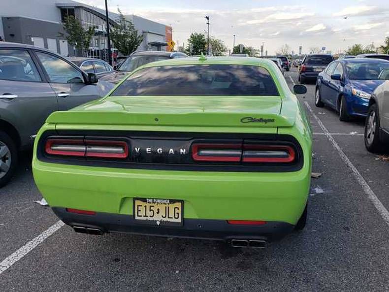 Gewoon een verzameling hilarische foto's #1130