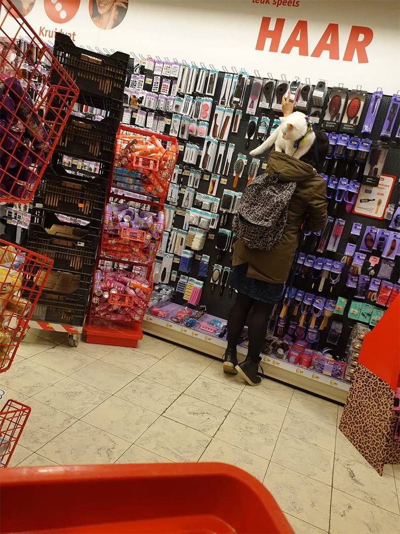Gewoon een verzameling hilarische foto's #1123