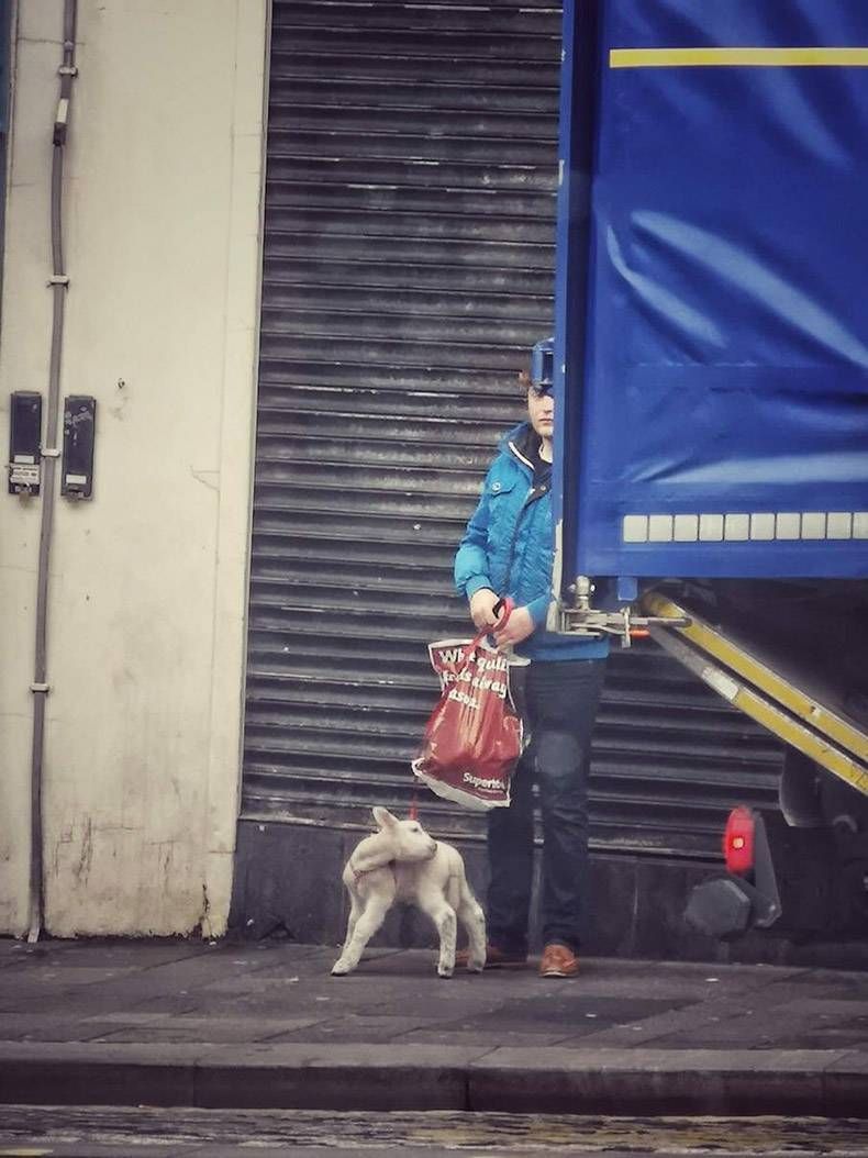 Gewoon een verzameling hilarische foto's #1120