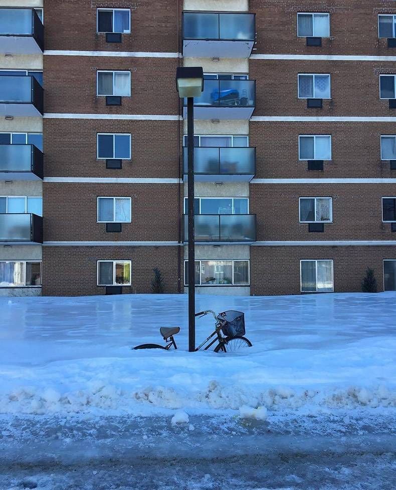 Gewoon een verzameling hilarische foto's #1089