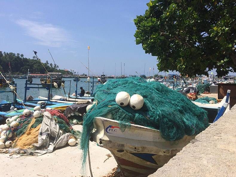 Gewoon een verzameling hilarische foto's #895