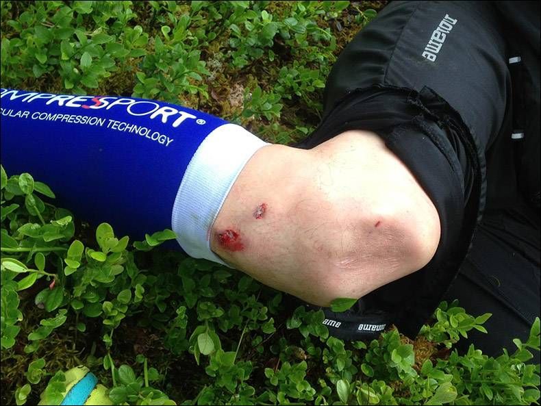 Gewoon een verzameling hilarische foto's #1359