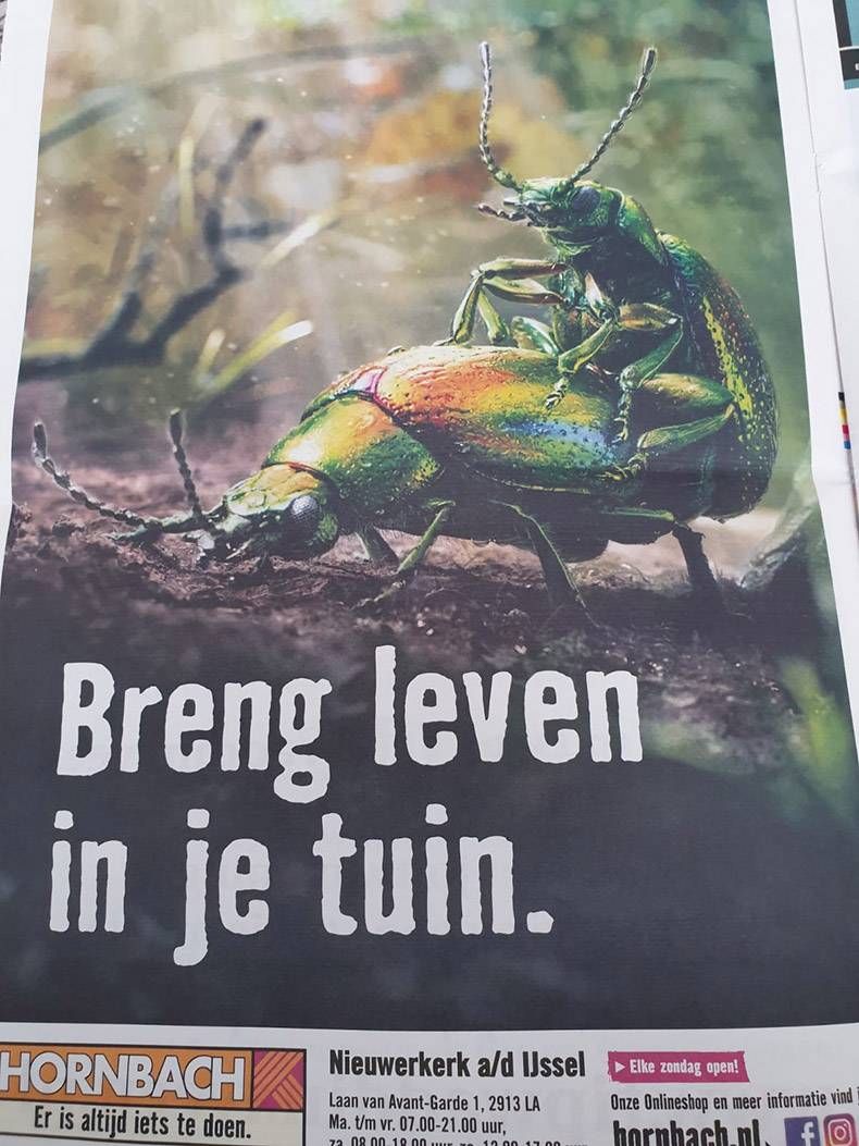 Gewoon een verzameling hilarische foto's #1262