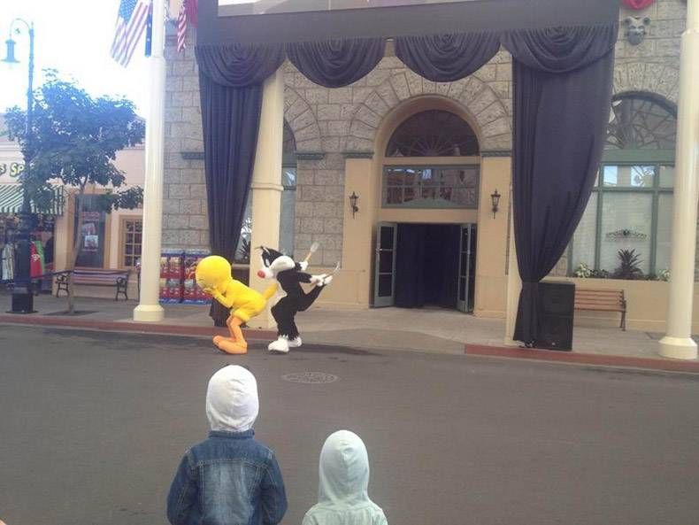 Gewoon een verzameling hilarische foto's #1255