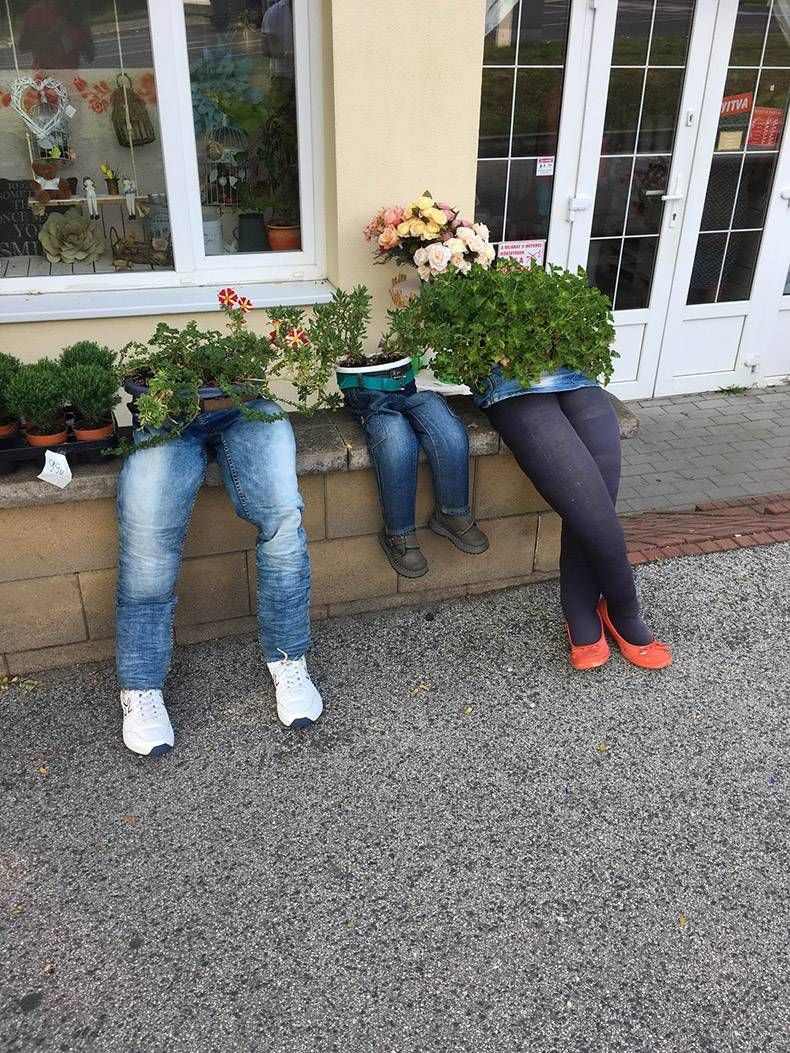 Gewoon een verzameling hilarische foto's #1175