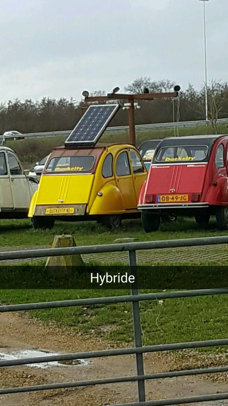 Gewoon een verzameling hilarische foto's #782