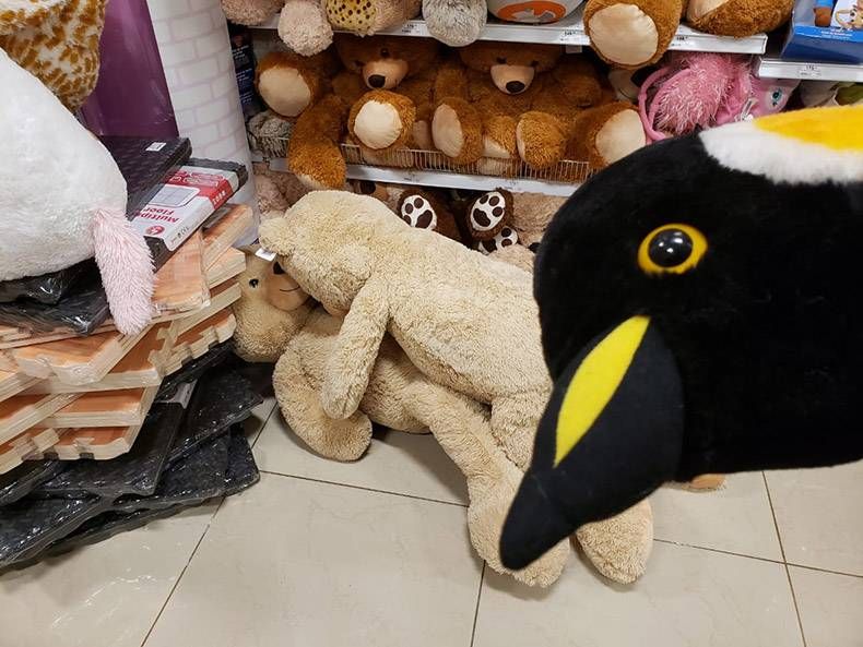 Gewoon een verzameling hilarische foto's #1199