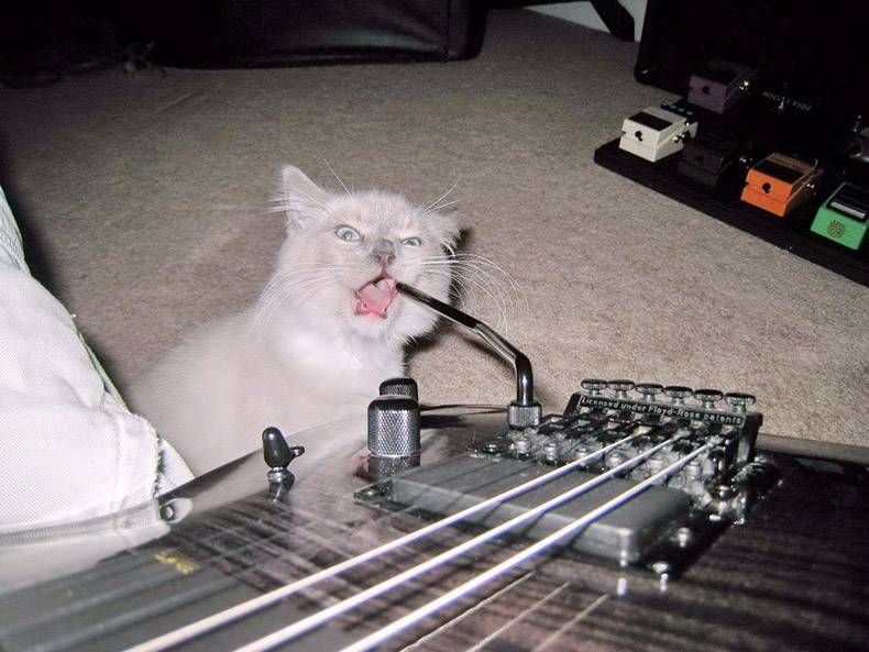 Gewoon een verzameling hilarische foto's #1089