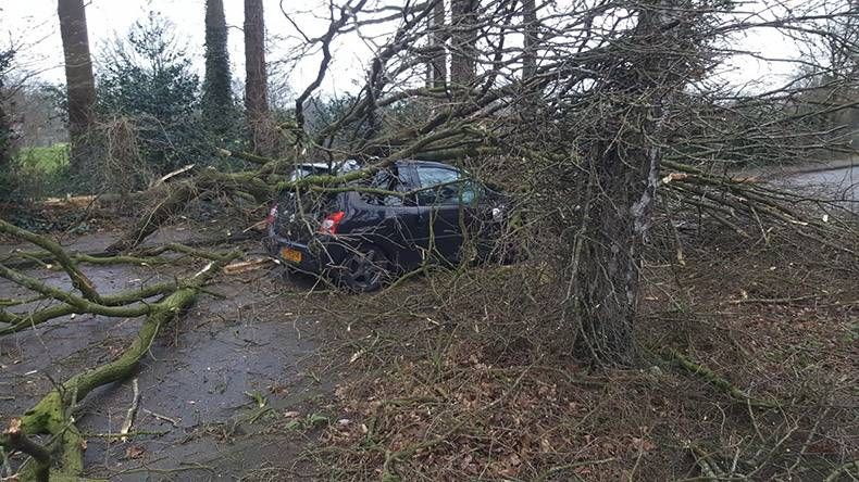 Gewoon een verzameling hilarische foto’s #921