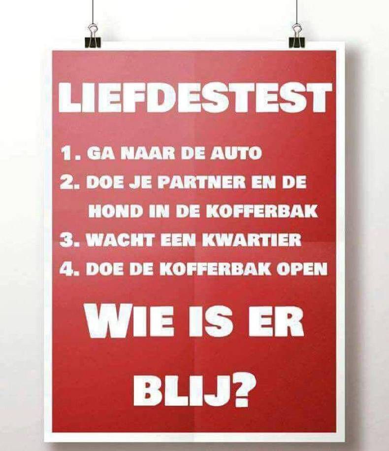 Gewoon een verzameling hilarische foto's #893