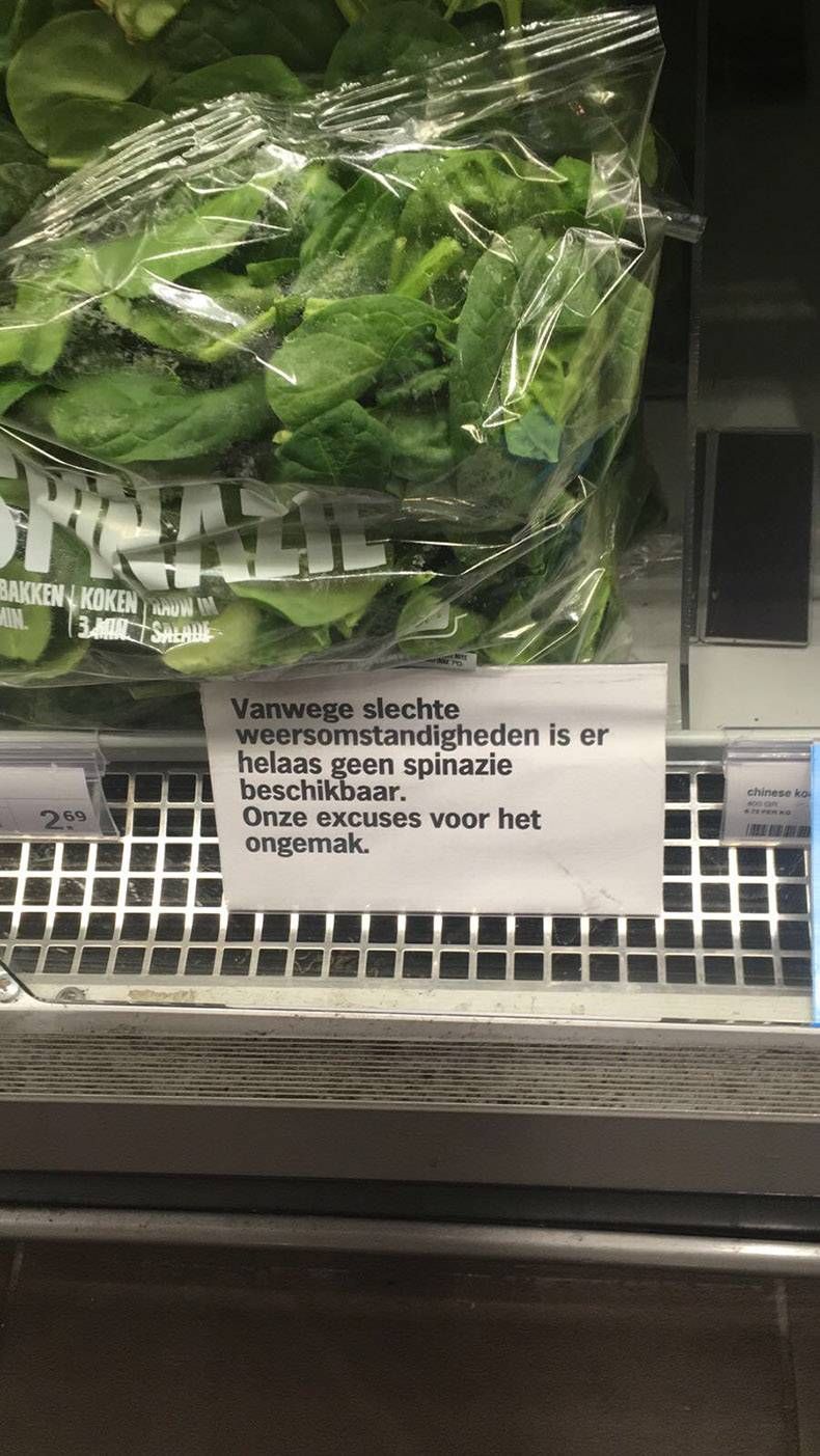 Gewoon een verzameling hilarische foto's #776