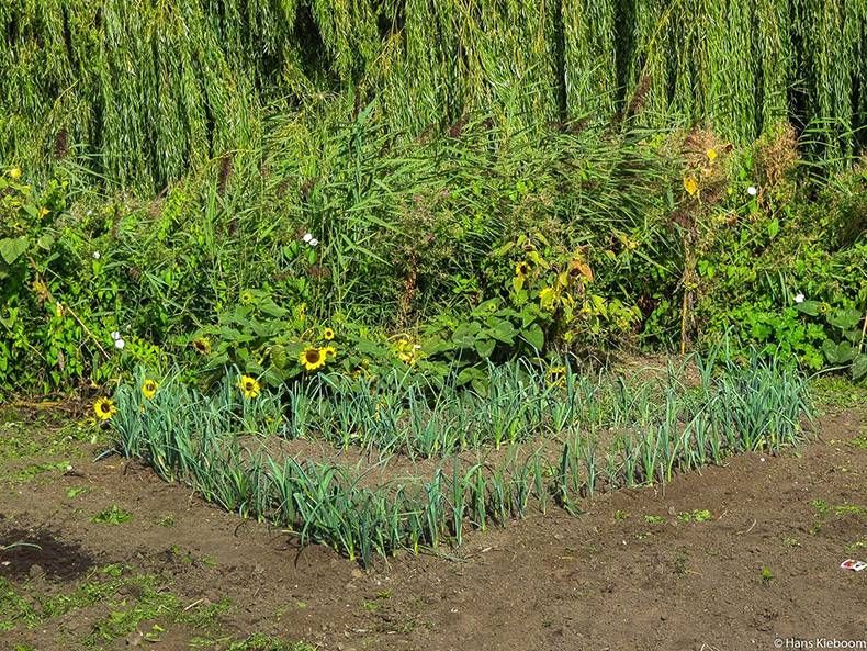 Gewoon een verzameling hilarische foto's #1173