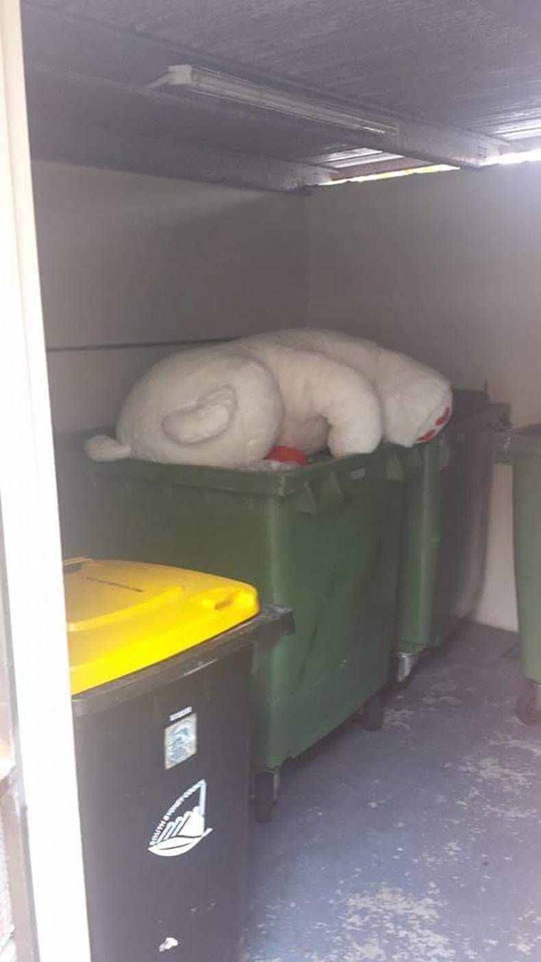 Gewoon een verzameling hilarische foto's #933