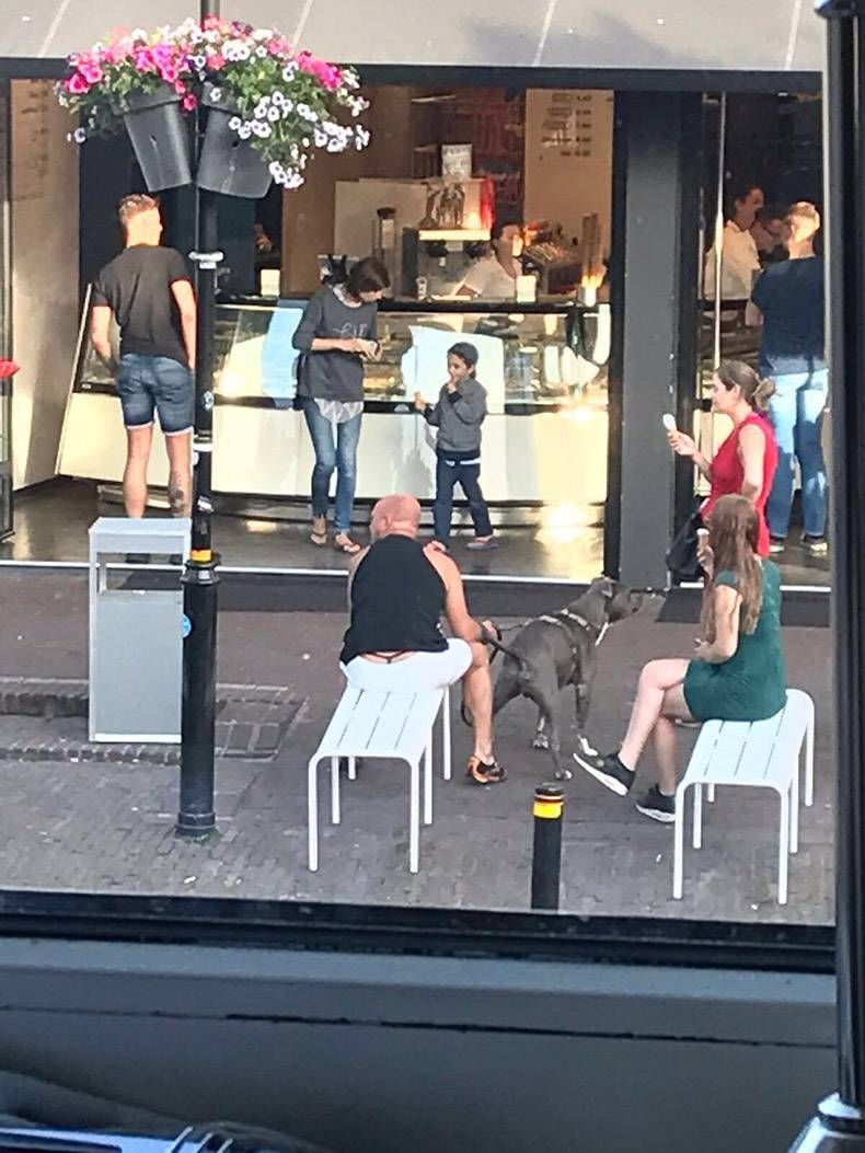 Gewoon een verzameling hilarische foto's #820