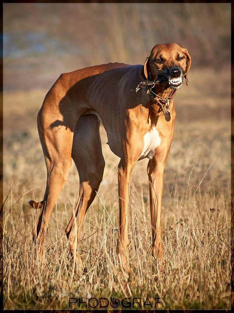 Gewoon een verzameling hilarische foto's #772