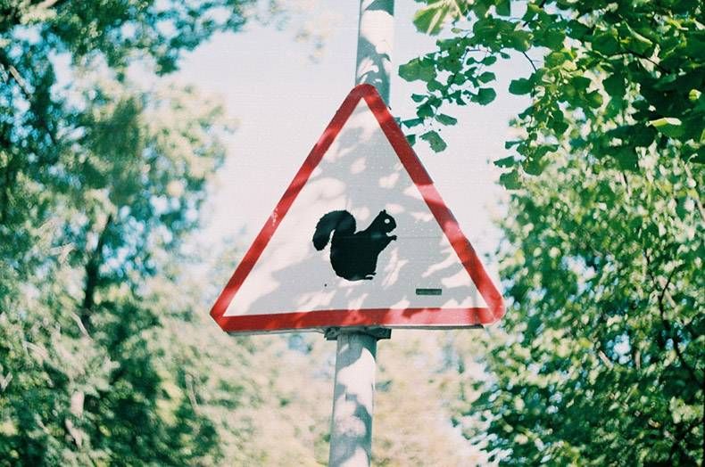 Gewoon een verzameling hilarische foto's #1248