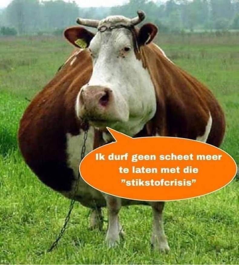 Gewoon een verzameling hilarische foto's #1212