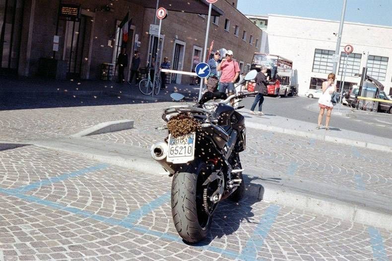 Gewoon een verzameling hilarische foto's #1129